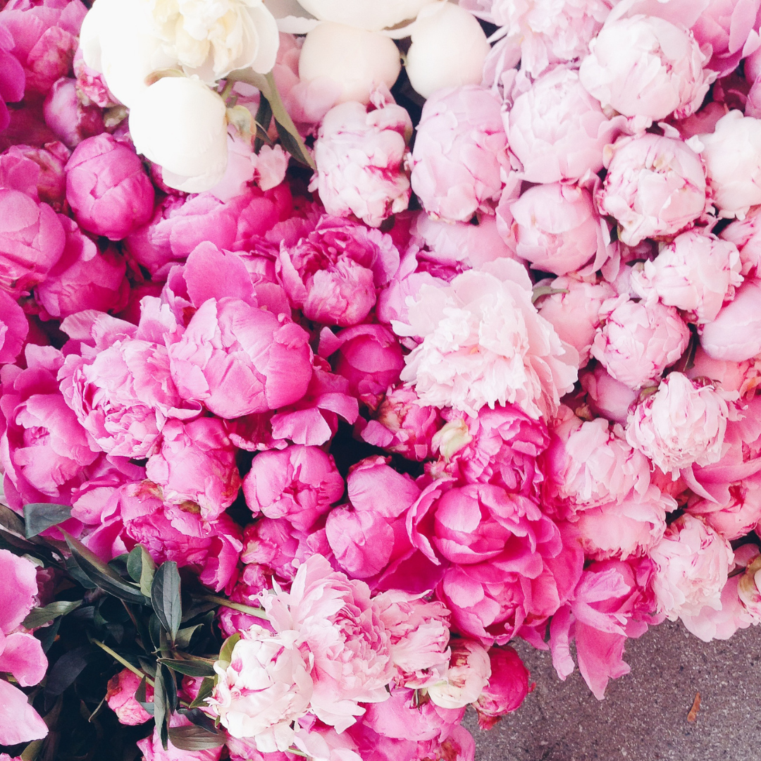 Peony Bunch