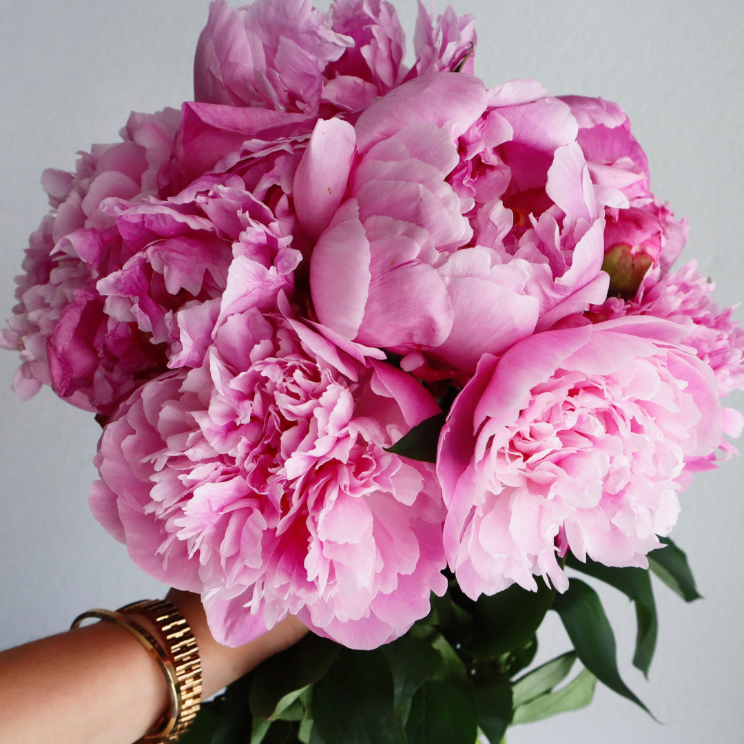 Peony Bunch