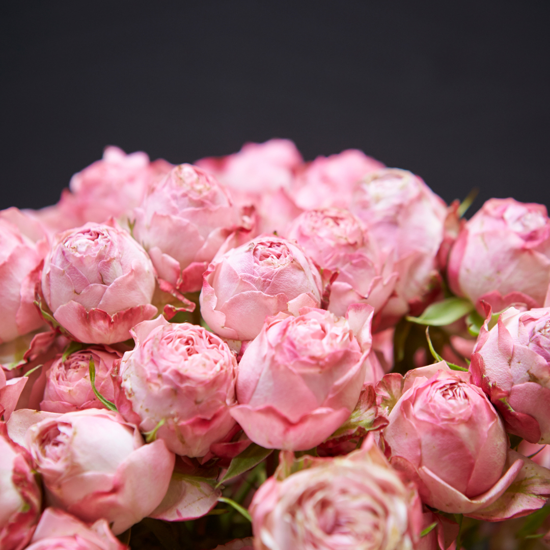 Monthly Flower Subscription