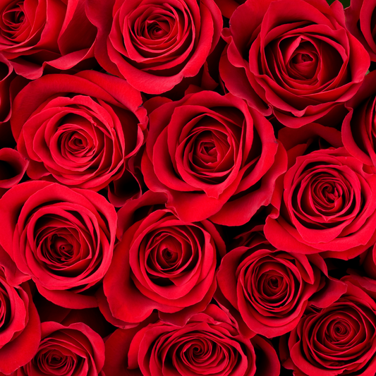 One Dozen Roses