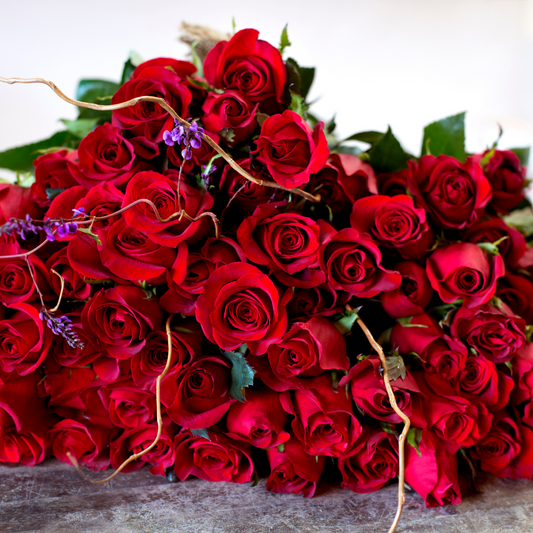Two Dozen Red Roses