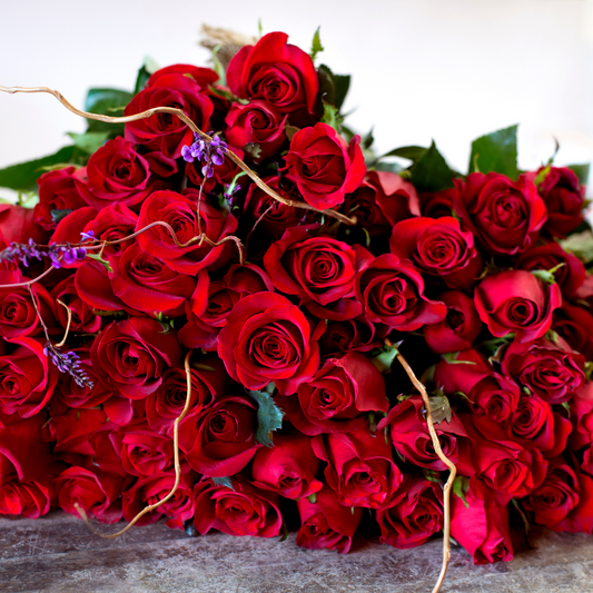 Two Dozen Roses